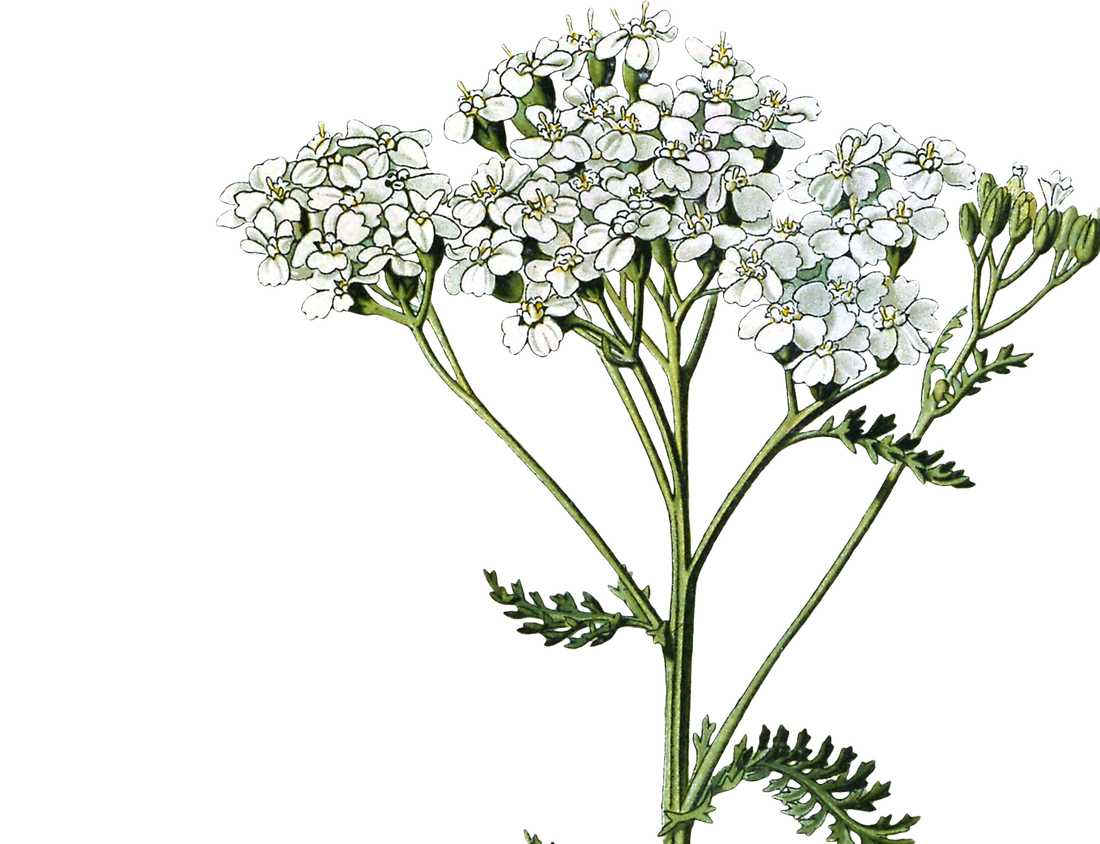 Body Anointing Ritual