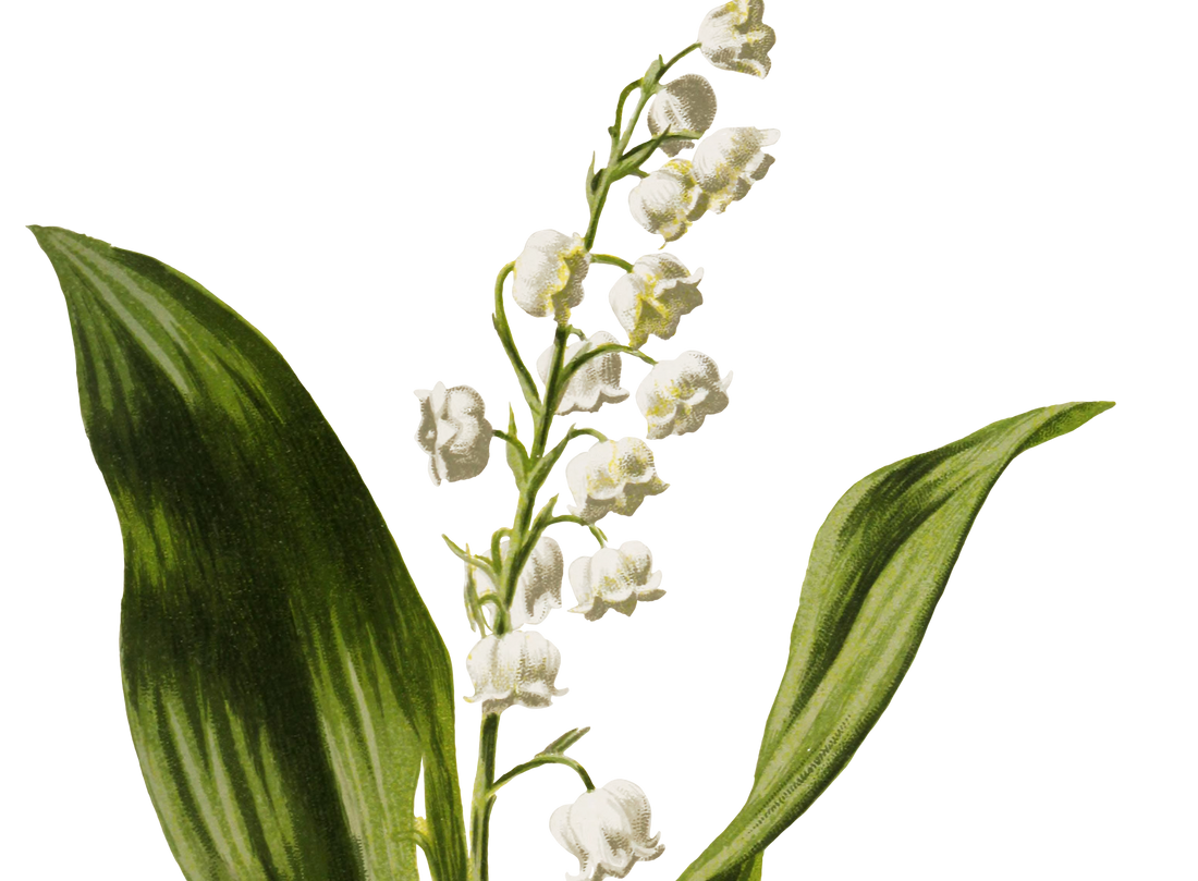 Polish & Glow Ritual