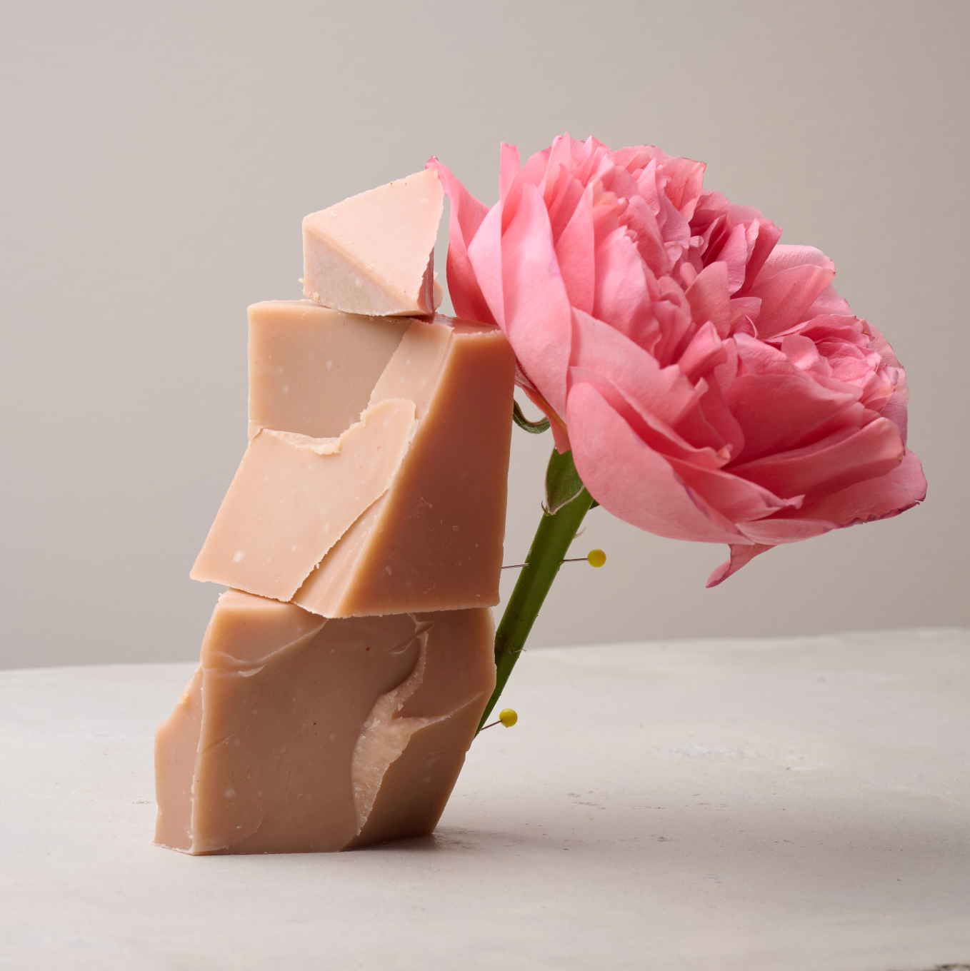 Bloom NEW